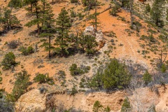 The Tropic Ditch Trail, Utah