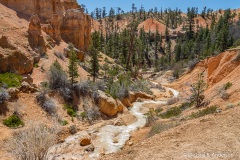 The Tropic Ditch Trail, Utah