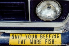 A helpful local bumper sticker.