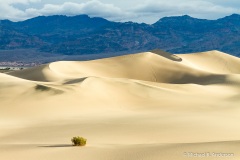 Mesquite Flat Sand Dunes