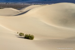 Mesquite Flat Sand Dunes